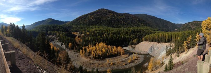 Goat Lick, Glacier National Park, MT