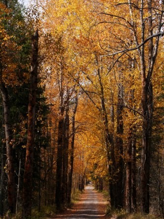 Apgar, Glacier National Park - by Robert Niese