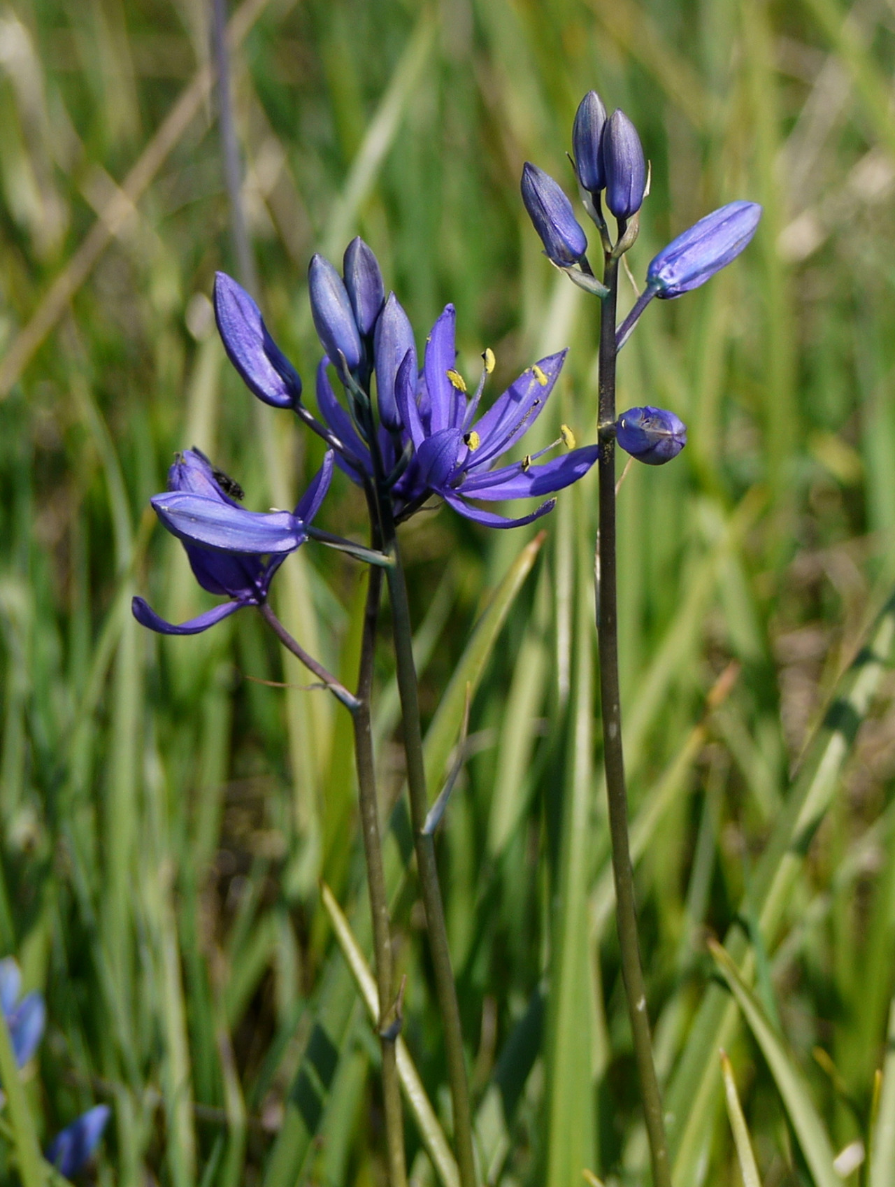 tumblr_nzmc8nczro1tmun60o1_1280