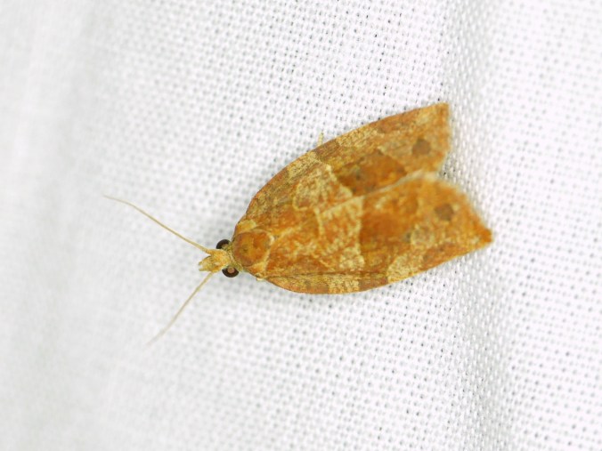 tumblr_o1qvo31tdl1tmun60o1_1280