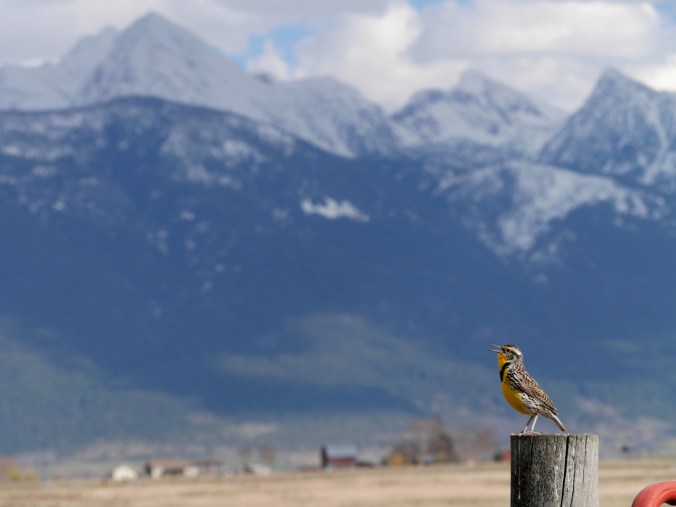 tumblr_o54wcrk3xy1tmun60o1_1280