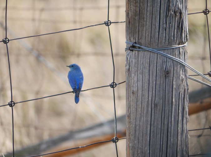 tumblr_o5c1znzxwf1tmun60o1_1280