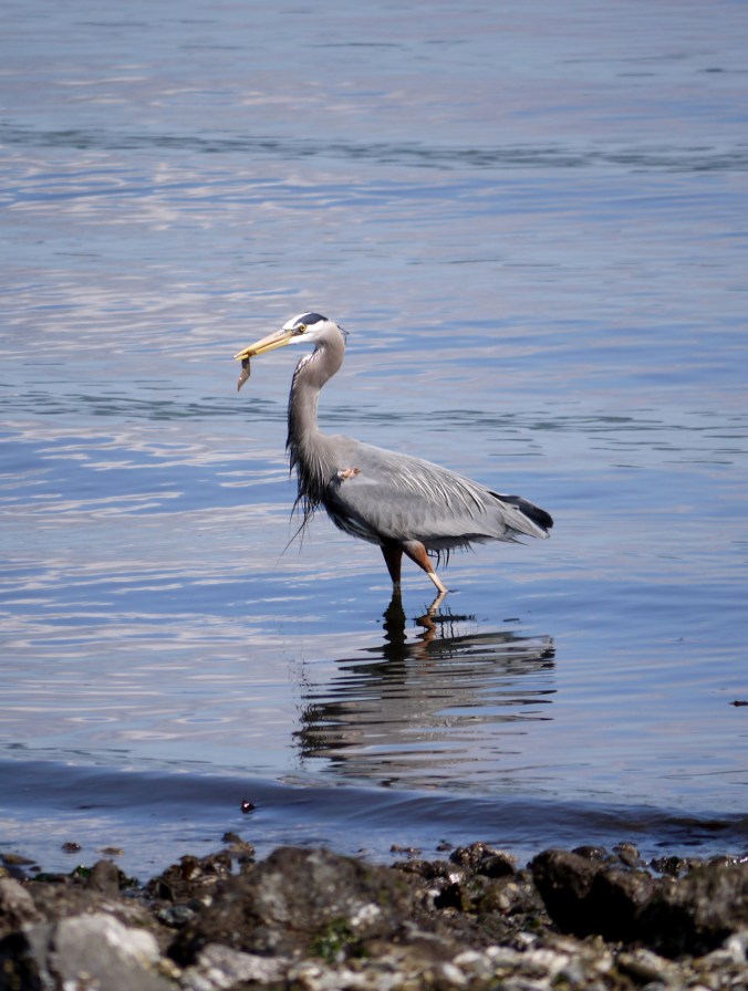 tumblr_o3flgk3lkw1tmun60o1_1280