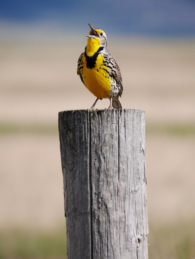 tumblr_o5w6l5nvd71tmun60o1_1280