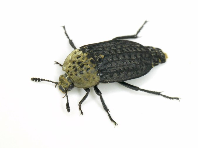 tumblr_o5w7d5l19q1tmun60o1_1280