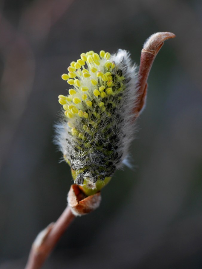 tumblr_o5w8auf7ap1tmun60o1_1280