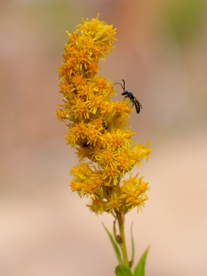 tumblr_o74mf1byux1tmun60o1_1280