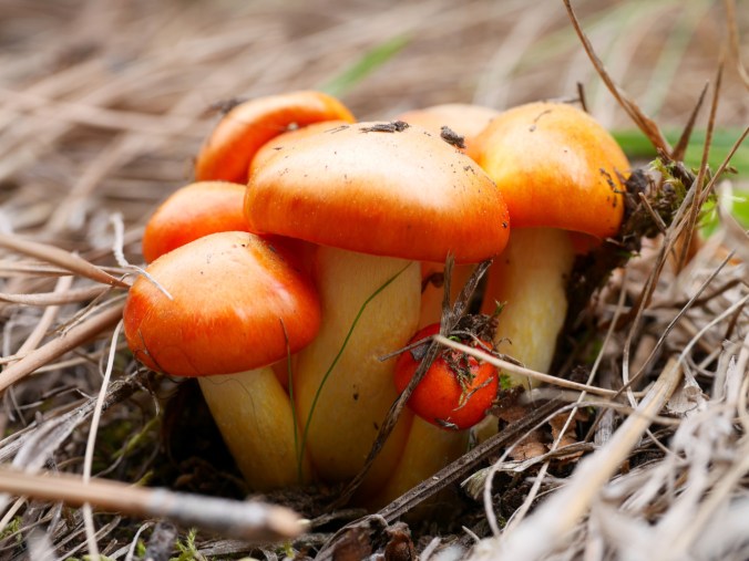 tumblr_o7qvgovghb1tmun60o1_1280