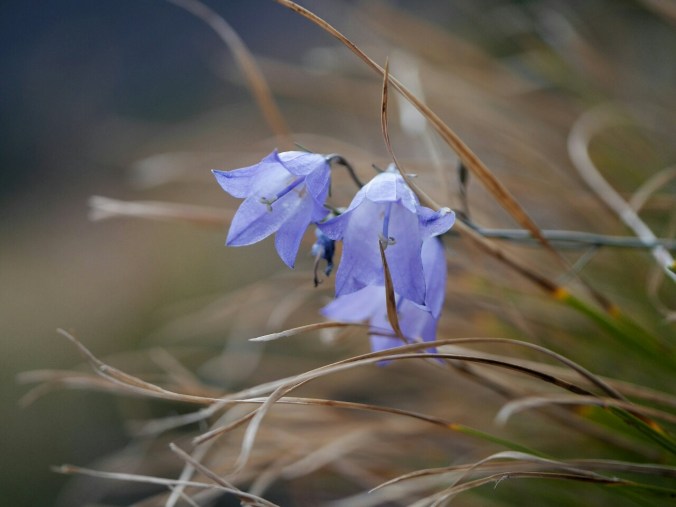 tumblr_o8d7ap23dk1tmun60o1_1280