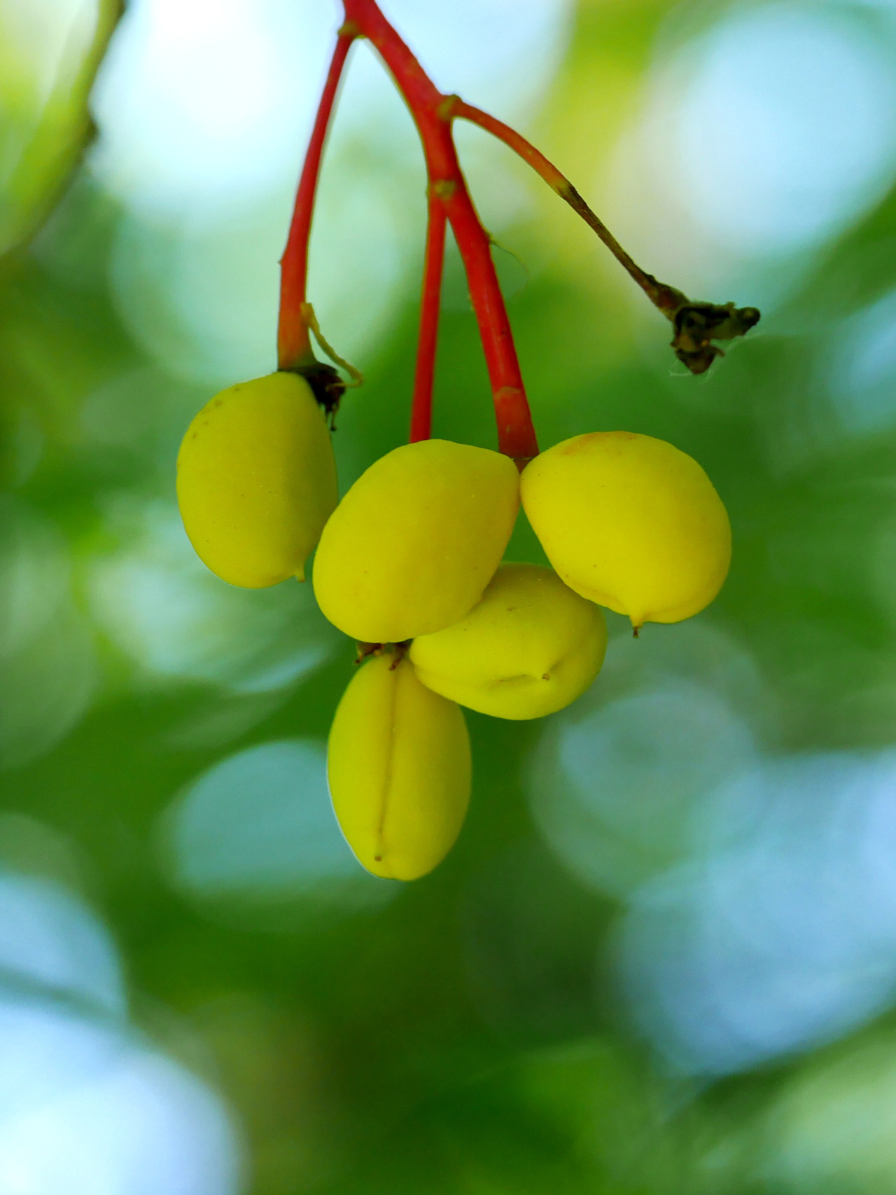 tumblr_o8j71fk8p11tmun60o1_r1_1280