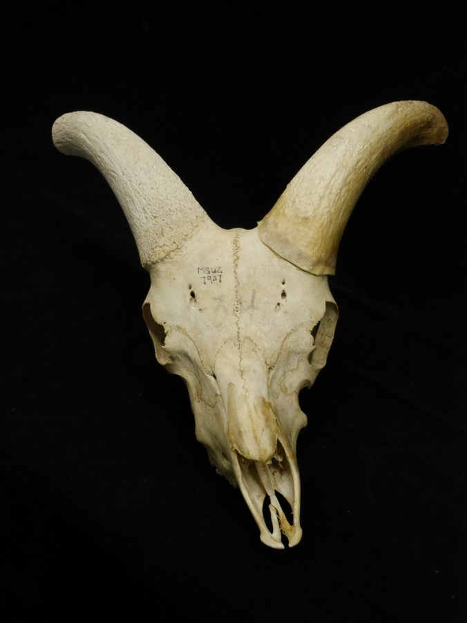 tumblr_o8ku2qsez21tmun60o1_1280