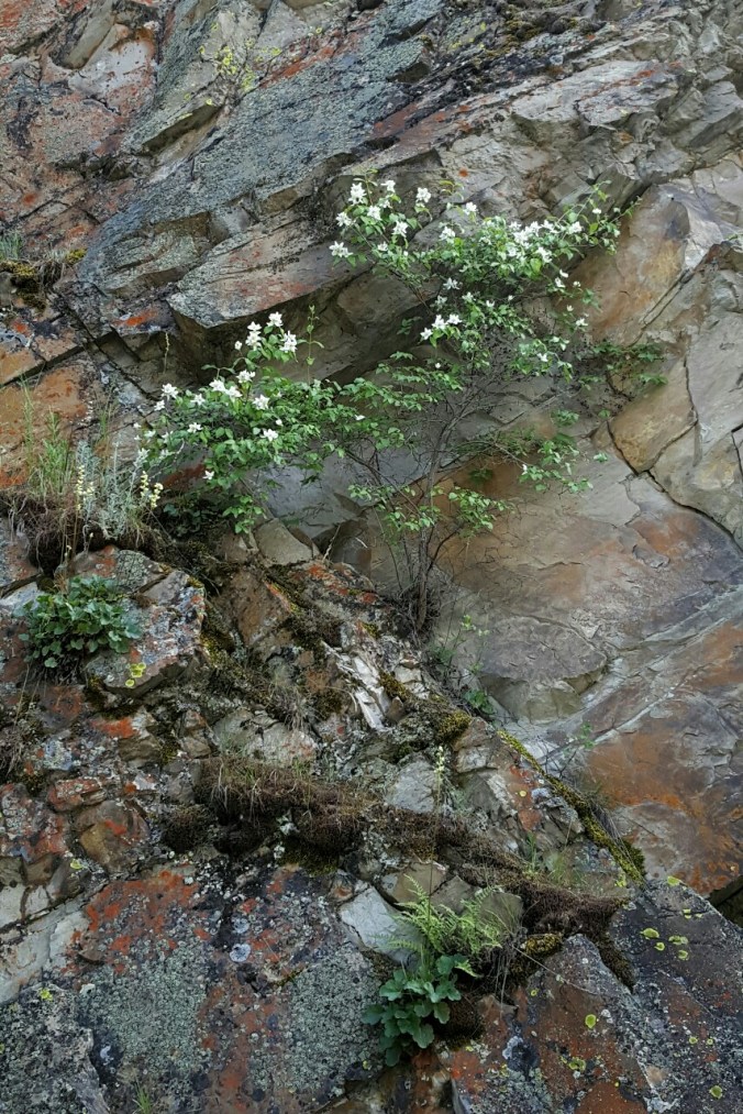 tumblr_o91v8xxq2y1tmun60o1_1280