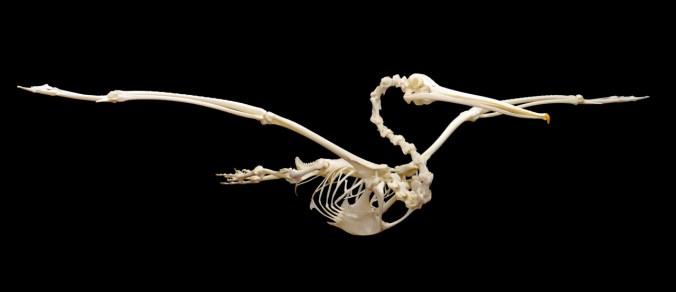 tumblr_o956b50i4u1tmun60o1_1280