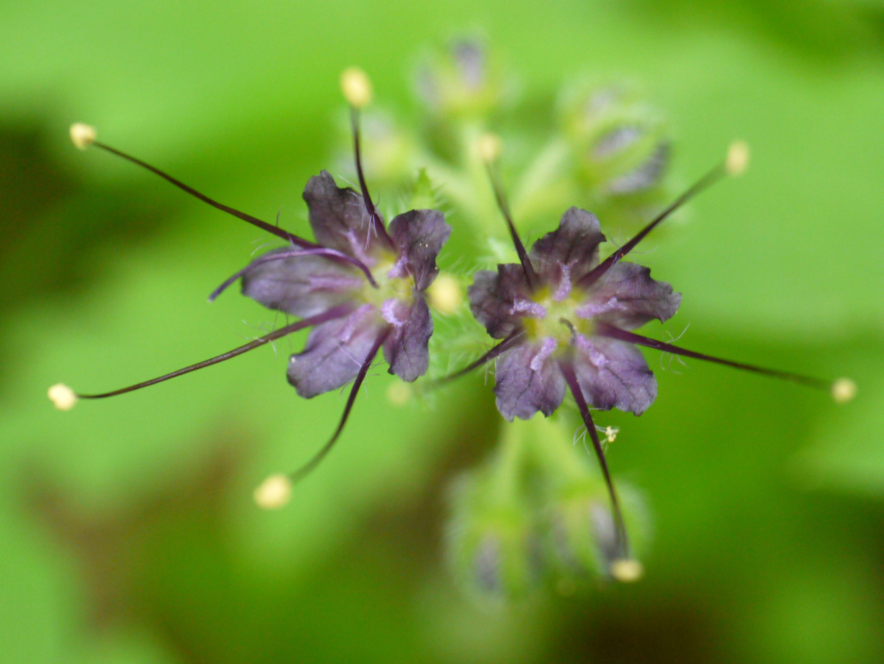 tumblr_o9wnw26awt1tmun60o1_1280