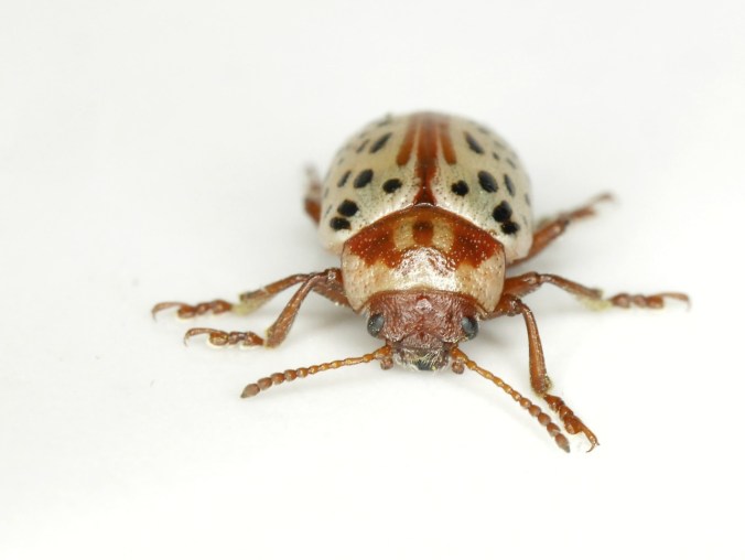 tumblr_oqkpyfwrwg1tmun60o2_1280