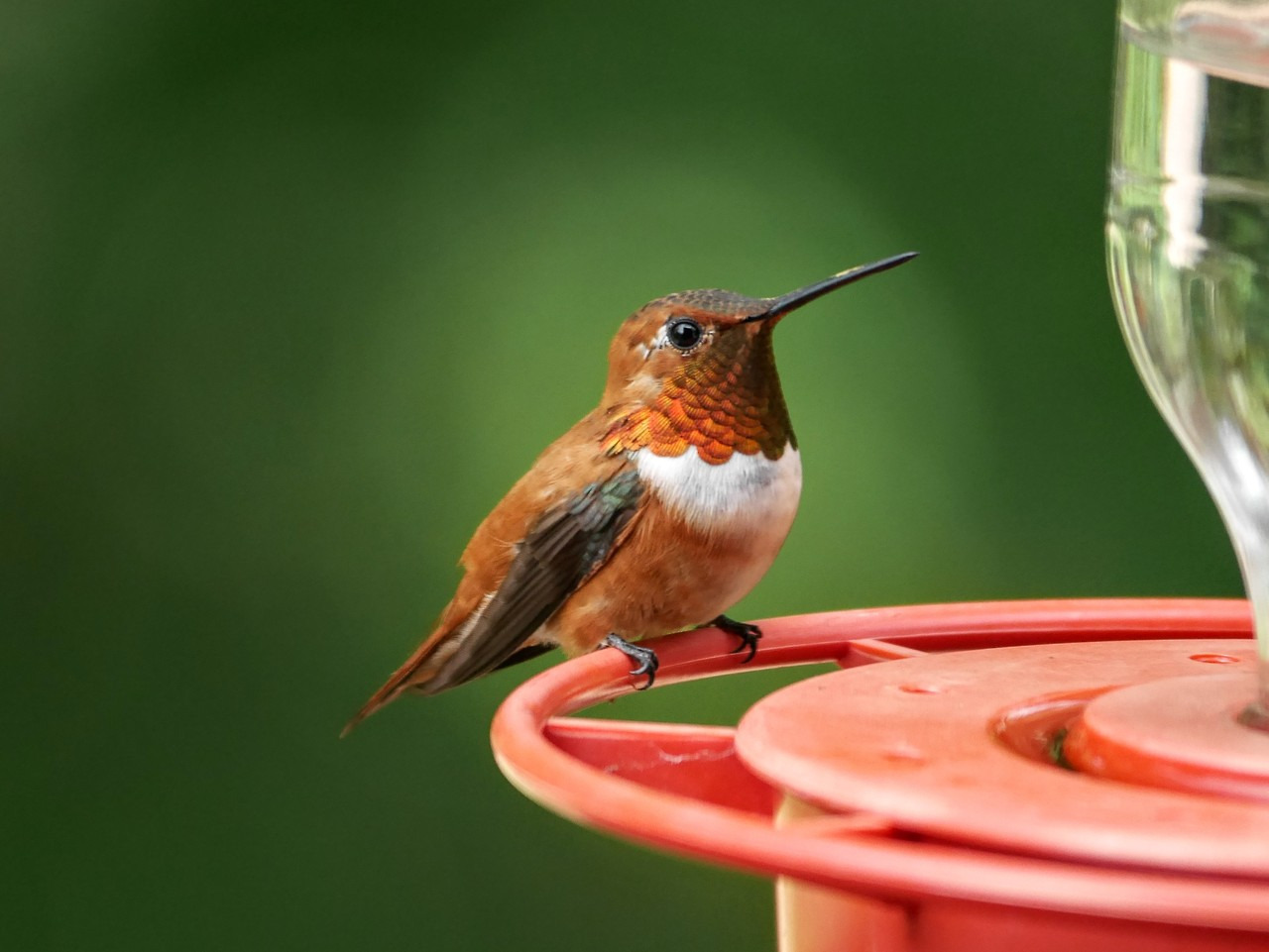 tumblr_oql4yzlxy91tmun60o1_1280