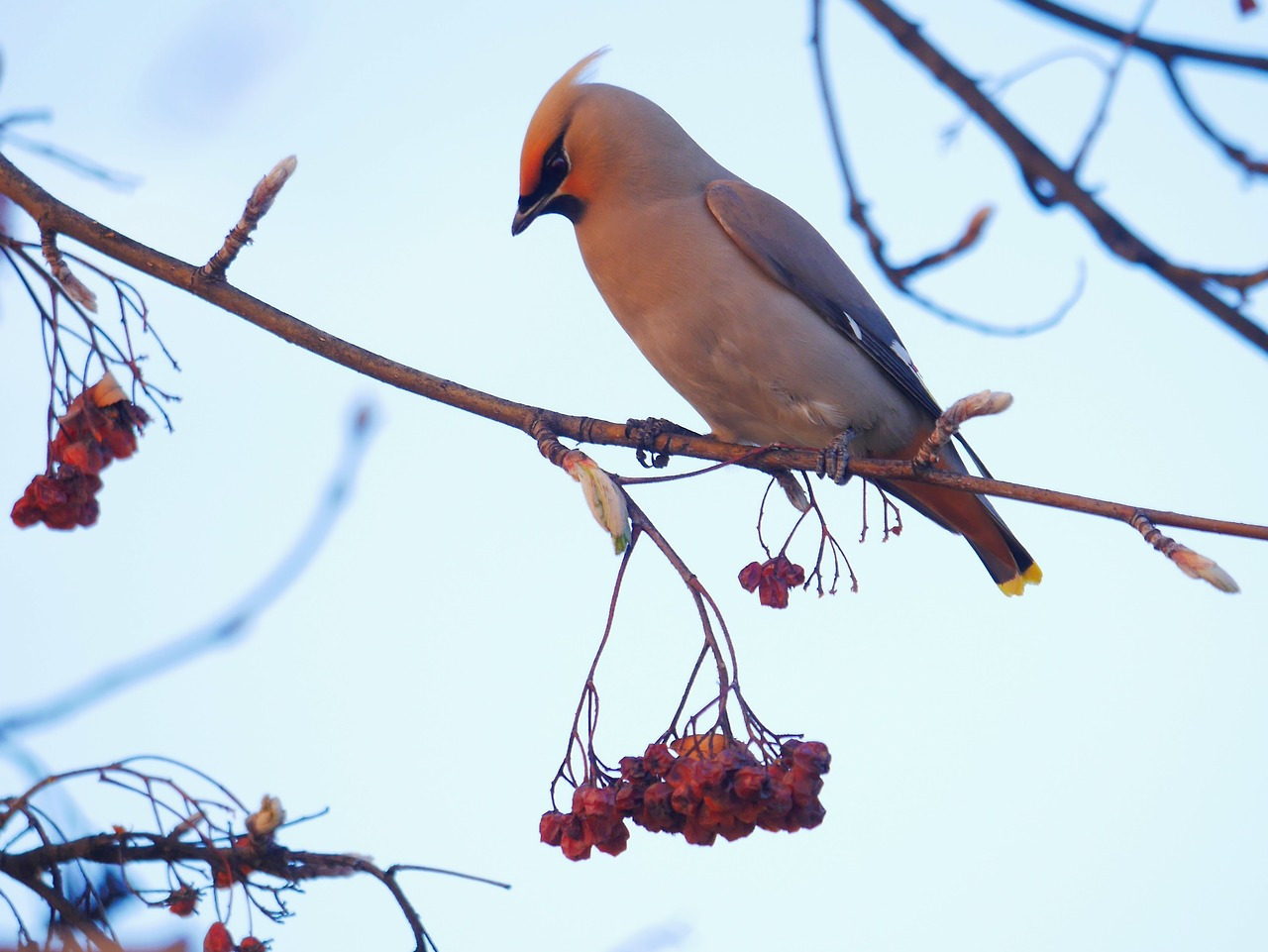 tumblr_oquwgxxzd01tmun60o1_1280