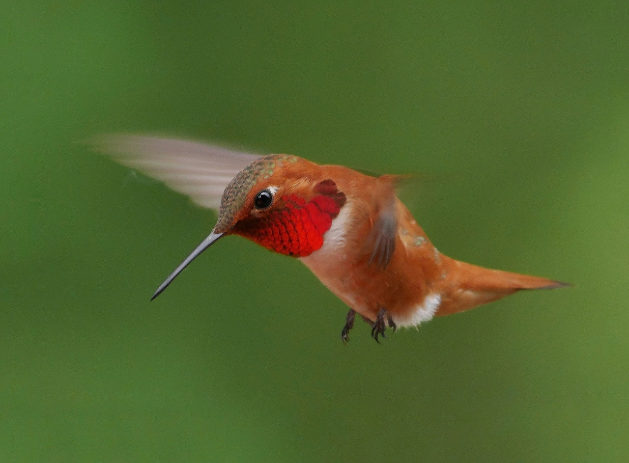 tumblr_oquwv1fhs91tmun60o1_1280